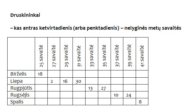 2026_vasaros_sezono_tiekimo_grafikai__Druskininkai.jpg